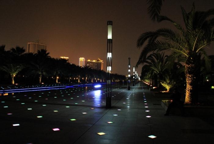城市公園庭院萝莉社免费版APP夜景效果照片