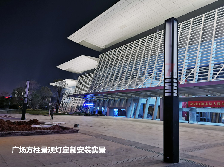 東莞市民服務中心廣場中軸定製萝莉社免费版APP安裝實拍效果